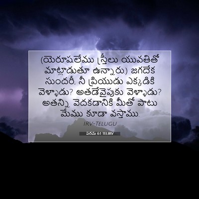 Picture 07 - పరమ 6:1 TELIRV - (యెరూషలేము - Bible Verse Picture