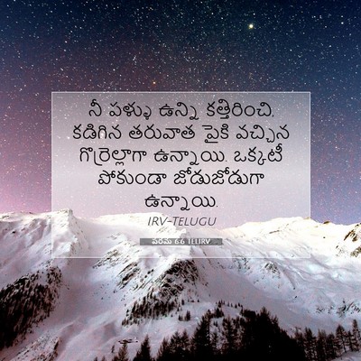 Picture 07 - పరమ 6:6 TELIRV - నీ పళ్ళు ఉన్ని - Bible Verse Picture