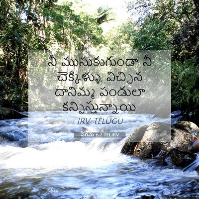 Picture 07 - పరమ 6:7 TELIRV - నీ ముసుకుగుండా నీ - Bible Verse Picture