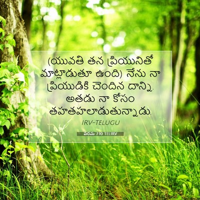 Picture 07 - పరమ 7:10 TELIRV - (యువతి తన - Bible Verse Picture