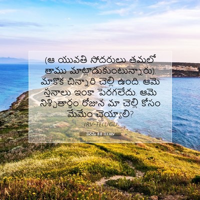 Picture 07 - పరమ 8:8 TELIRV - (ఆ యువతి సోదరులు - Bible Verse Picture