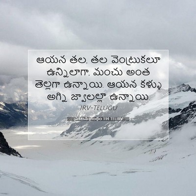 Picture 07 - ప్రకటన గ్రంథం 1:14 TELIRV - ఆయన తల, తల - Bible Verse Picture