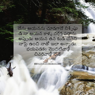 Picture 07 - ప్రకటన గ్రంథం 1:17 TELIRV - నేను ఆయనను - Bible Verse Picture