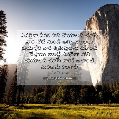 Picture 07 - ప్రకటన గ్రంథం 11:5 TELIRV - ఎవరైనా వీరికి హని - Bible Verse Picture