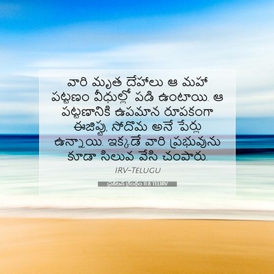 Picture 07 - ప్రకటన గ్రంథం 11:8 TELIRV - వారి మృత దేహాలు ఆ - Bible Verse Picture