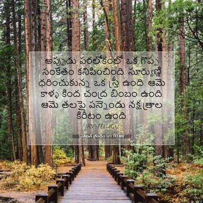 Picture 07 - ప్రకటన గ్రంథం 12:1 TELIRV - అప్పుడు పరలోకంలో - Bible Verse Picture