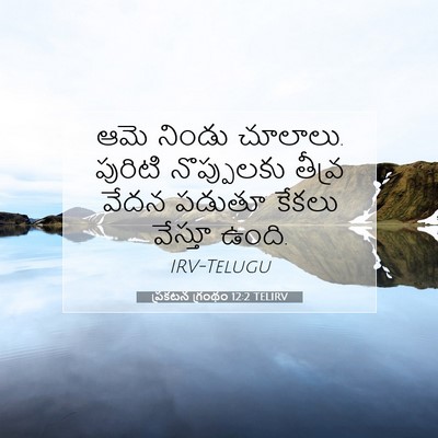 Picture 07 - ప్రకటన గ్రంథం 12:2 TELIRV - ఆమె నిండు చూలాలు. - Bible Verse Picture