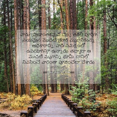Picture 07 - ప్రకటన గ్రంథం 13:12 TELIRV - వాడు ప్రాణాంతకమైన - Bible Verse Picture