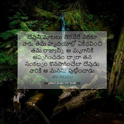Picture 07 - ప్రకటన గ్రంథం 17:17 TELIRV - దేవుని మాటలు - Bible Verse Picture