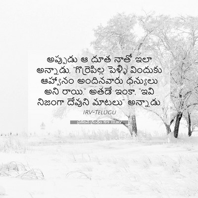 Picture 07 - ప్రకటన గ్రంథం 19:9 TELIRV - అప్పుడు ఆ దూత నాతో - Bible Verse Picture