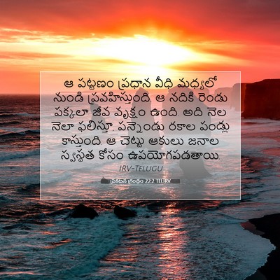 Picture 07 - ప్రకటన గ్రంథం 22:2 TELIRV - ఆ పట్టణం ప్రధాన - Bible Verse Picture