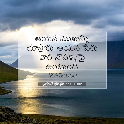 Picture 07 - ప్రకటన గ్రంథం 22:4 TELIRV - ఆయన ముఖాన్ని - Bible Verse Picture