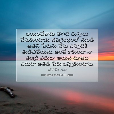 Picture 07 - ప్రకటన గ్రంథం 3:5 TELIRV - జయించేవాడు - Bible Verse Picture