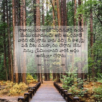 Picture 07 - ప్రకటన గ్రంథం 3:9 TELIRV - సాతాను సమాజానికి - Bible Verse Picture