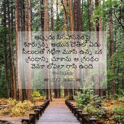 Picture 07 - ప్రకటన గ్రంథం 5:1 TELIRV - అప్పుడు - Bible Verse Picture