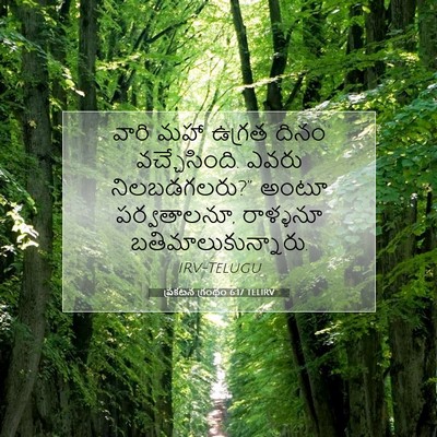 Picture 07 - ప్రకటన గ్రంథం 6:17 TELIRV - వారి మహా ఉగ్రత - Bible Verse Picture