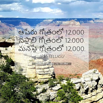 Picture 07 - ప్రకటన గ్రంథం 7:6 TELIRV - ఆషేరు గోత్రంలో 12,000. - Bible Verse Picture
