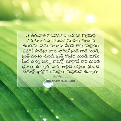 Picture 07 - ప్రకటన గ్రంథం 7:9 TELIRV - ఆ తరువాత సింహాసనం - Bible Verse Picture