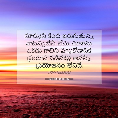 Picture 07 - ప్రసంగి 1:14 TELIRV - సూర్యుని కింద - Bible Verse Picture