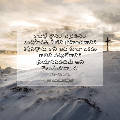 Picture 07 - ప్రసంగి 1:17 TELIRV - కాబట్టి జ్ఞానం, - Bible Verse Picture