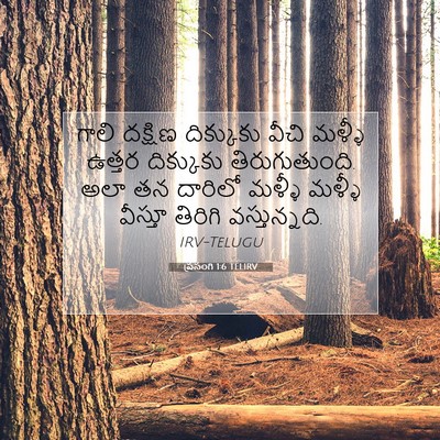 Picture 07 - ప్రసంగి 1:6 TELIRV - గాలి దక్షిణ - Bible Verse Picture