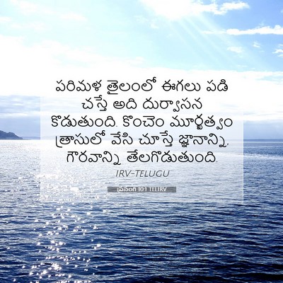 Picture 07 - ప్రసంగి 10:1 TELIRV - పరిమళ తైలంలో ఈగలు - Bible Verse Picture
