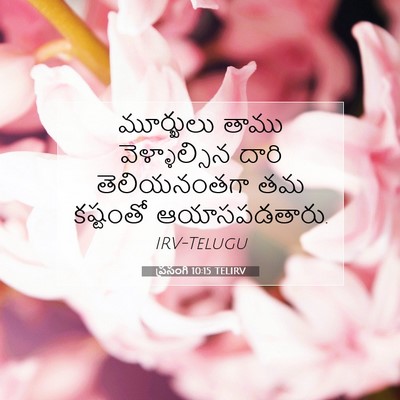 Picture 07 - ప్రసంగి 10:15 TELIRV - మూర్ఖులు తాము - Bible Verse Picture