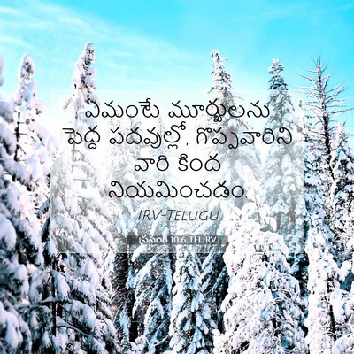 Picture 07 - ప్రసంగి 10:6 TELIRV - ఏమంటే మూర్ఖులను - Bible Verse Picture