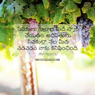 Picture 07 - ప్రసంగి 10:7 TELIRV - సేవకులు గుర్రాల - Bible Verse Picture