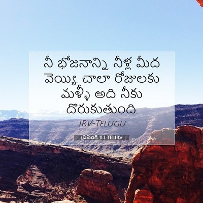 Picture 07 - ప్రసంగి 11:1 TELIRV - నీ భోజనాన్ని - Bible Verse Picture
