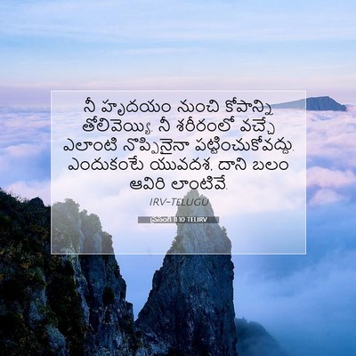 Picture 07 - ప్రసంగి 11:10 TELIRV - నీ హృదయం నుంచి - Bible Verse Picture