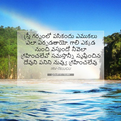 Picture 07 - ప్రసంగి 11:5 TELIRV - స్త్రీ గర్భంలో - Bible Verse Picture