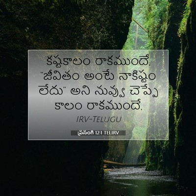 Picture 07 - ప్రసంగి 12:1 TELIRV - కష్టకాలం - Bible Verse Picture