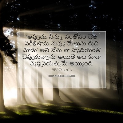 Picture 07 - ప్రసంగి 2:1 TELIRV - “అప్పుడు, నిన్ను - Bible Verse Picture