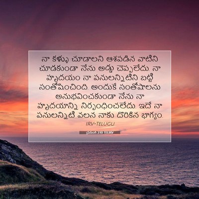 Picture 07 - ప్రసంగి 2:10 TELIRV - నా కళ్ళు చూడాలని - Bible Verse Picture