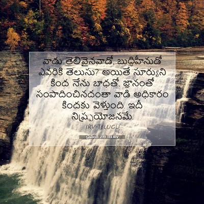 Picture 07 - ప్రసంగి 2:19 TELIRV - వాడు తెలివైనవాడో, - Bible Verse Picture