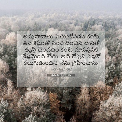 Picture 07 - ప్రసంగి 2:24 TELIRV - అన్నపానాలు - Bible Verse Picture