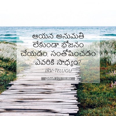 Picture 07 - ప్రసంగి 2:25 TELIRV - ఆయన అనుమతి - Bible Verse Picture