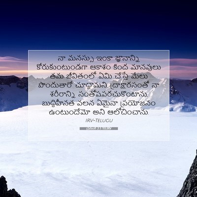 Picture 07 - ప్రసంగి 2:3 TELIRV - నా మనస్సు ఇంకా - Bible Verse Picture