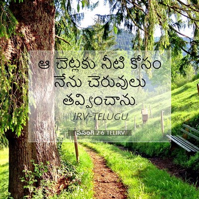 Picture 07 - ప్రసంగి 2:6 TELIRV - ఆ చెట్లకు నీటి - Bible Verse Picture