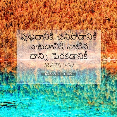 Picture 07 - ప్రసంగి 3:2 TELIRV - పుట్టడానికీ, - Bible Verse Picture