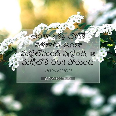Picture 07 - ప్రసంగి 3:20 TELIRV - అంతా ఒక్క చోటికే - Bible Verse Picture