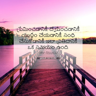 Picture 07 - ప్రసంగి 3:8 TELIRV - ప్రేమించడానికీ, - Bible Verse Picture