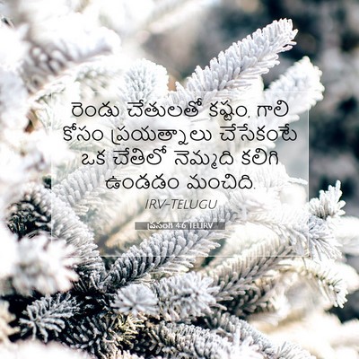 Picture 07 - ప్రసంగి 4:6 TELIRV - రెండు చేతులతో - Bible Verse Picture