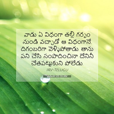 Picture 07 - ప్రసంగి 5:15 TELIRV - వాడు ఏ విధంగా - Bible Verse Picture