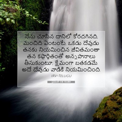 Picture 07 - ప్రసంగి 5:18 TELIRV - నేను చూసిన దానిలో - Bible Verse Picture