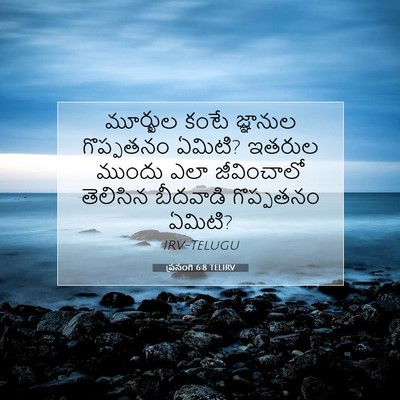Picture 07 - ప్రసంగి 6:8 TELIRV - మూర్ఖుల కంటే - Bible Verse Picture