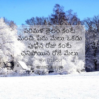 Picture 07 - ప్రసంగి 7:1 TELIRV - పరిమళ తైలం కంటే - Bible Verse Picture