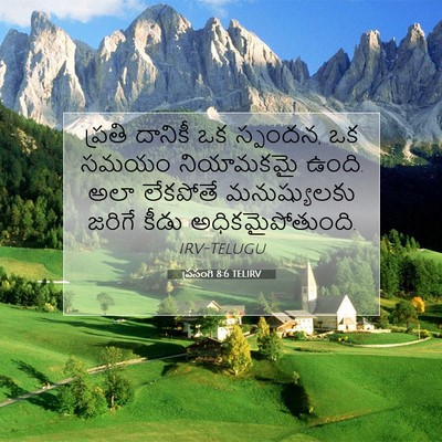 Picture 07 - ప్రసంగి 8:6 TELIRV - ప్రతి దానికీ ఒక - Bible Verse Picture