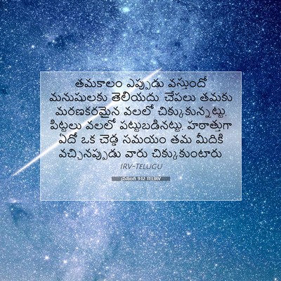 Picture 07 - ప్రసంగి 9:12 TELIRV - తమకాలం ఎప్పుడు - Bible Verse Picture